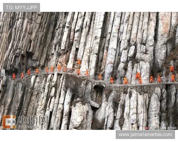 揭秘亚游ag8网站的游戏公平性与公正测评标准